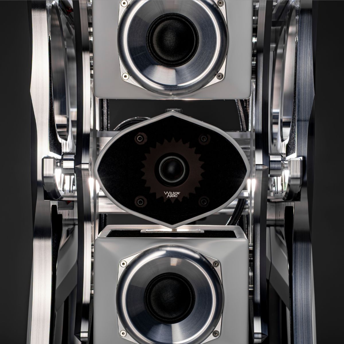 Wilson Audio Autobiography Speaker