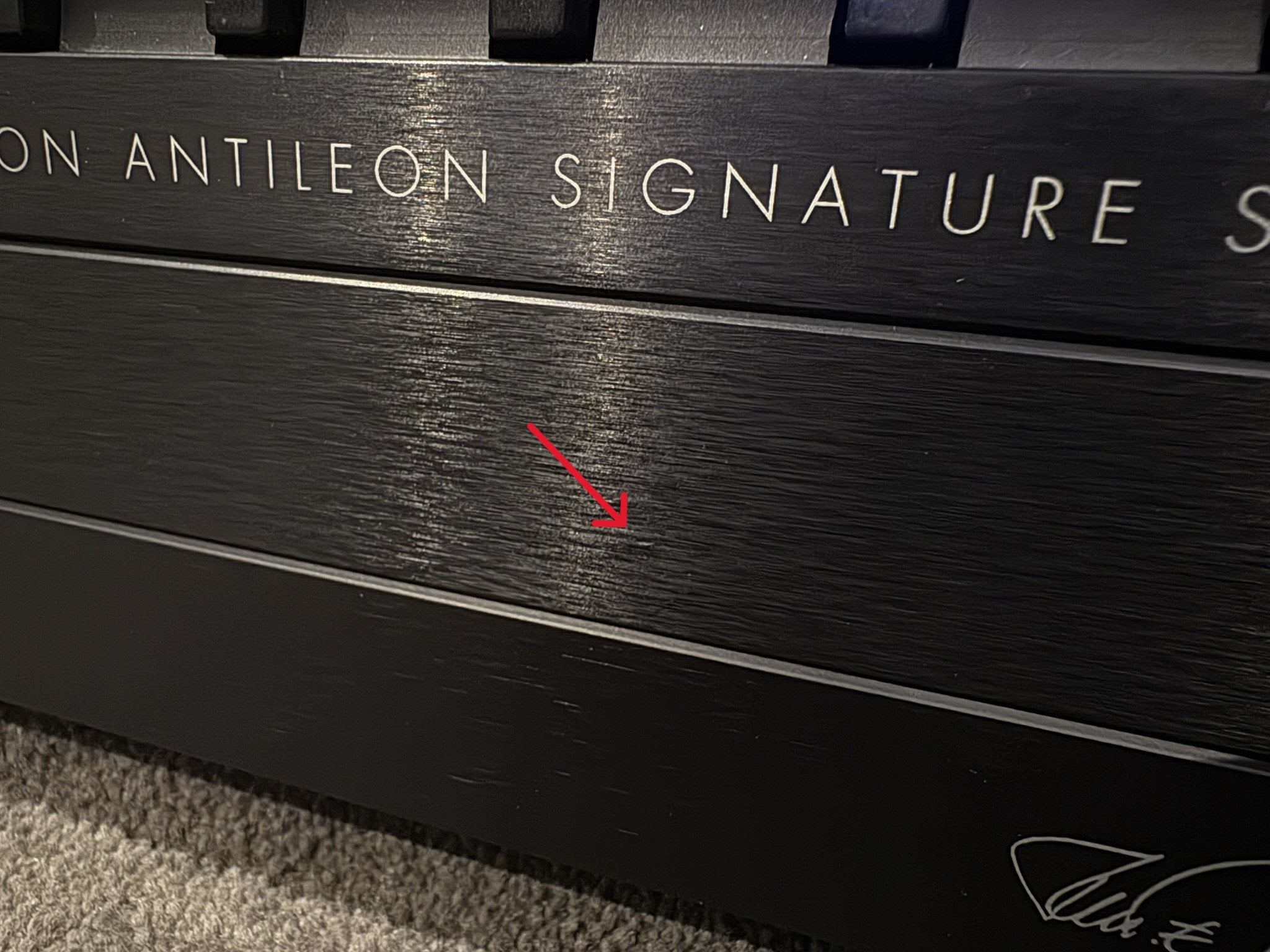 Gryphon Antileon Signature Stereo Power Amplifier - As Traded