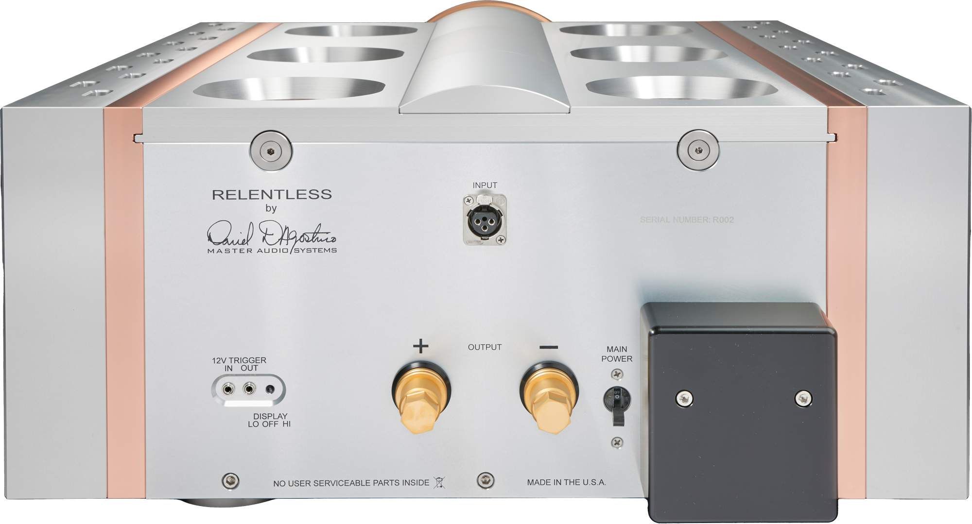Dan D'Agostino Relentless Epic 1600 Mono Amplifier (Each)