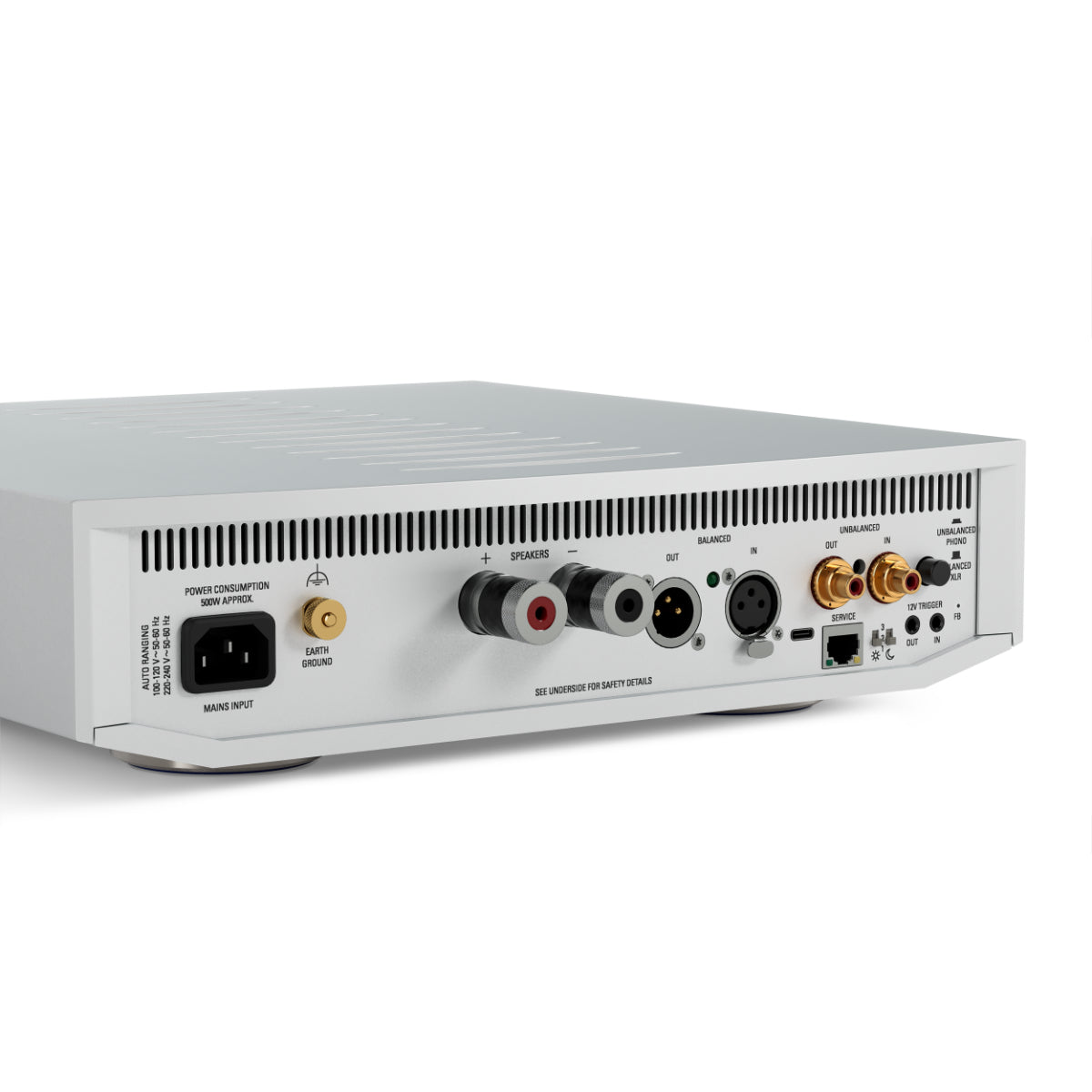 Silver Linn Klimax Solo 500 Monoblock Power Amplifier Rear Angle