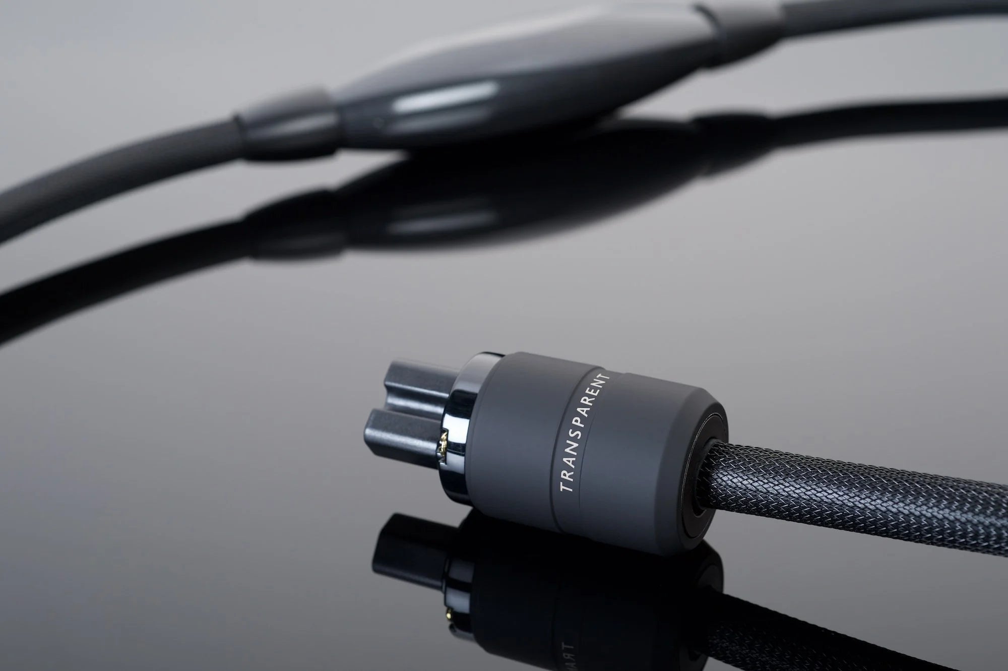 Transparent Reference Power Cord Plug 2