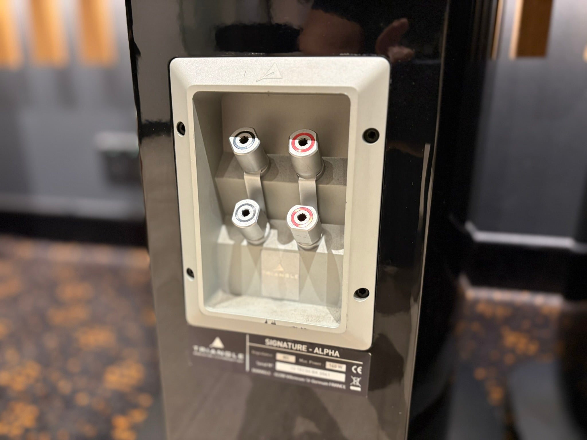 Triangle Signature Alpha Floorstanding Speakers - Consignment