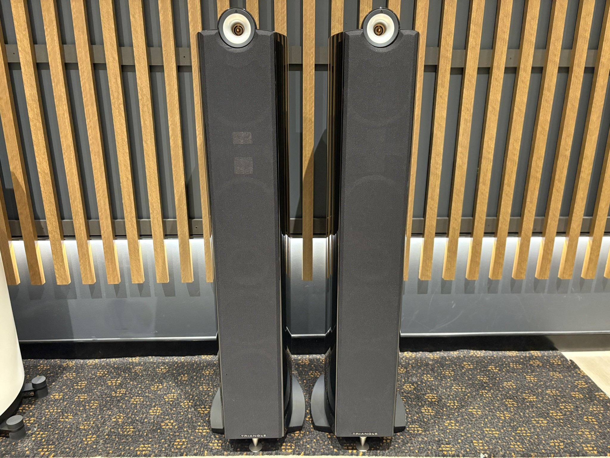Triangle Signature Alpha Floorstanding Speakers - Consignment