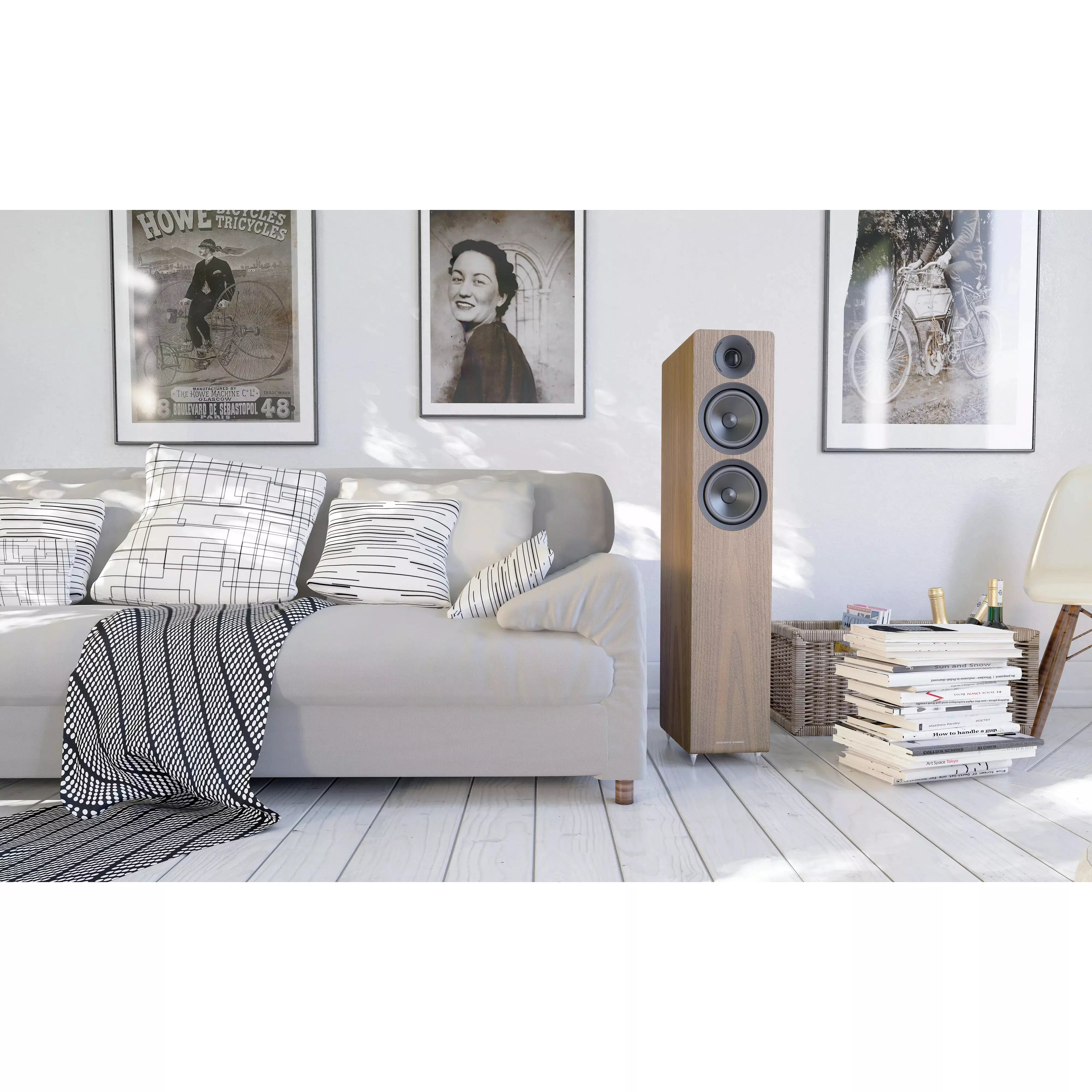 Acoustic Energy AE309 Floorstanding Speakers