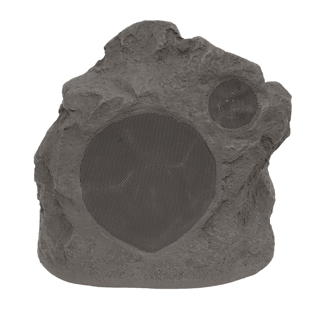 Proficient Audio Protege RS6 Rock Speaker
