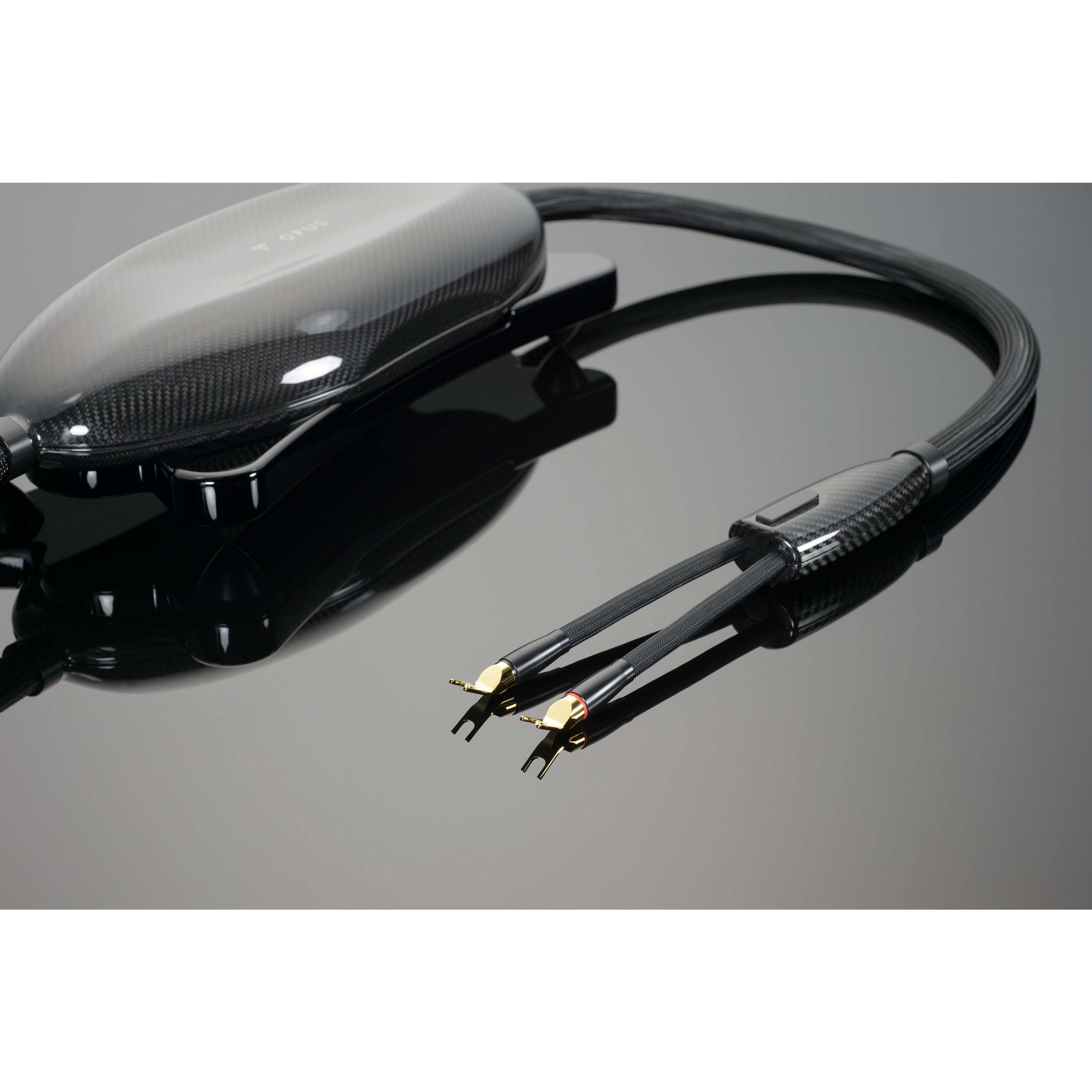 Transparent Opus Speaker Cable End
