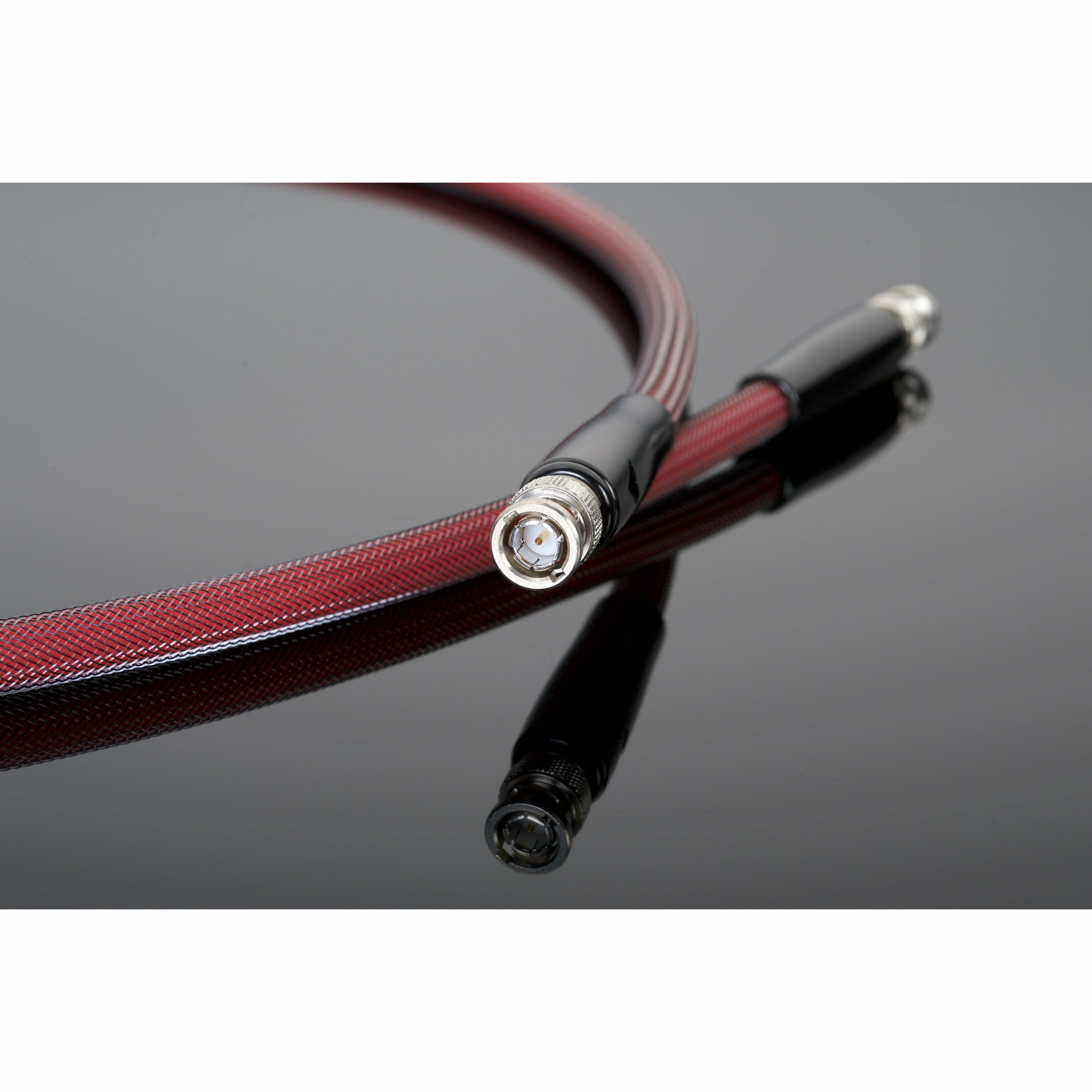 Transparent Reference Gen 6 Digital Link RCA Closeup 2