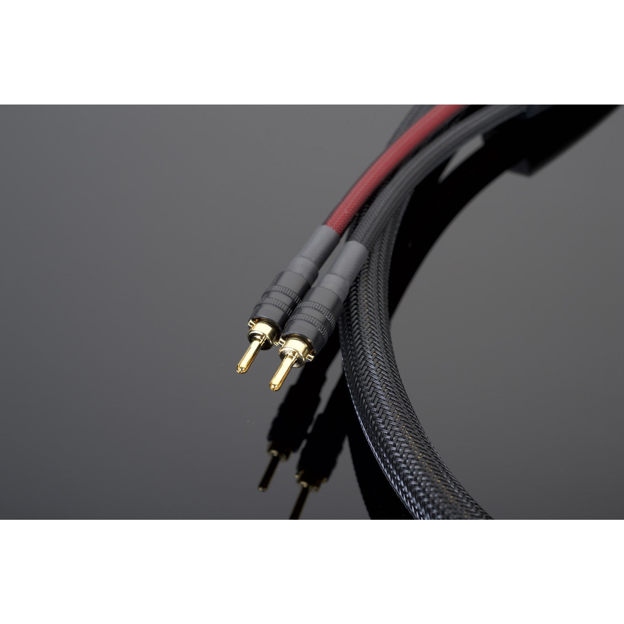 Transparent Super Speaker Cable End 2